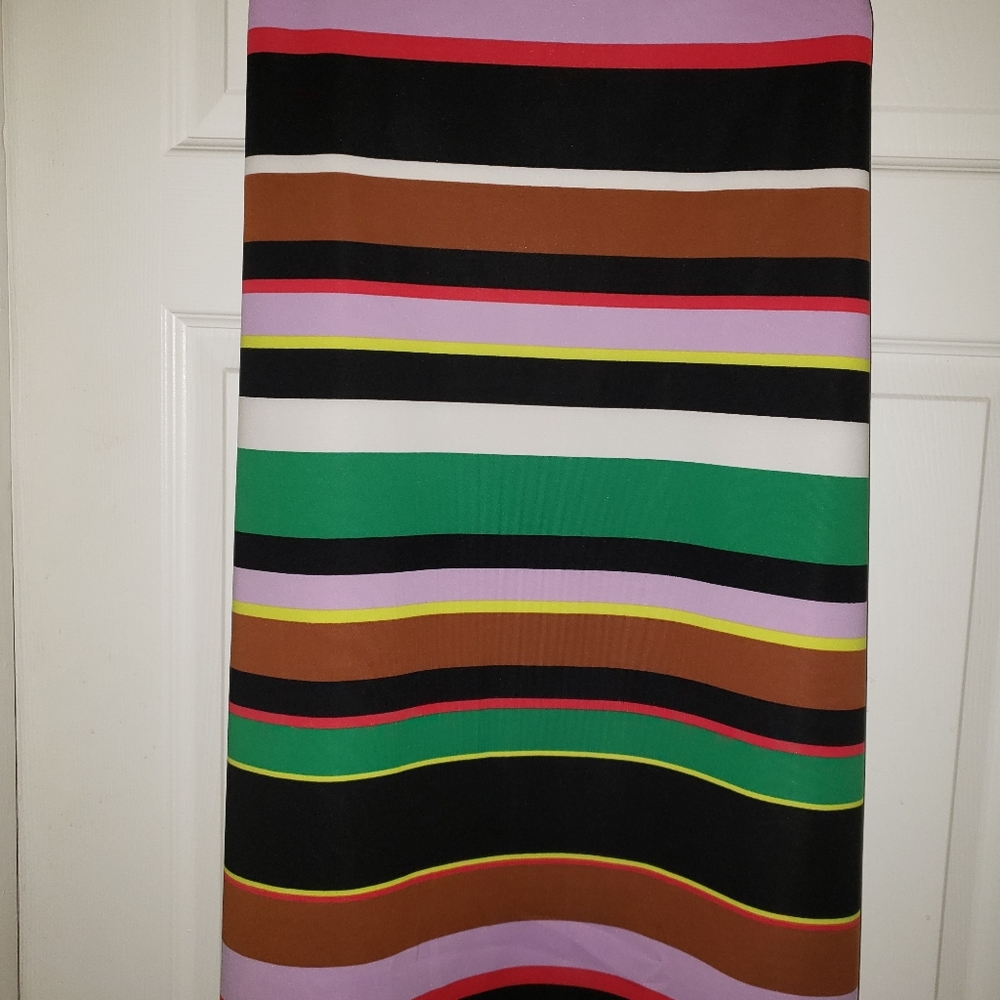 Multi Colored Striped Skirt